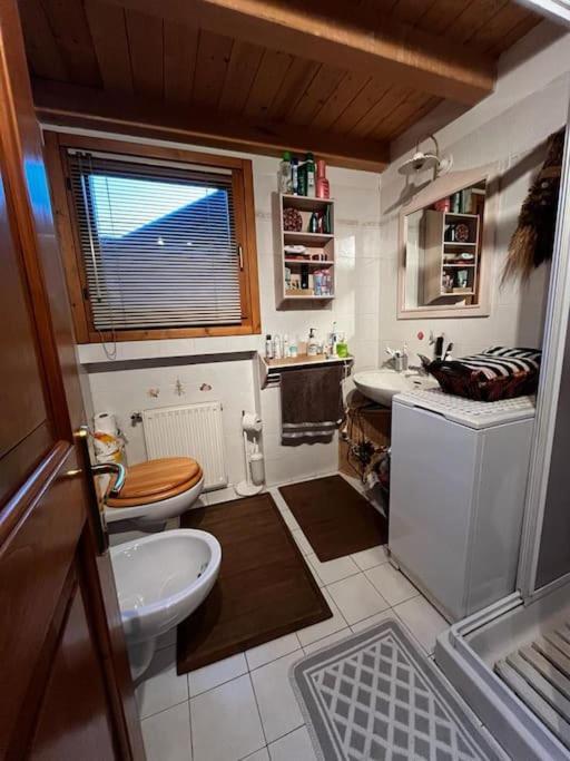 Ferienwohnung "Fresia" Chalet Turistico A Fisto Spiazzo  Exterior foto