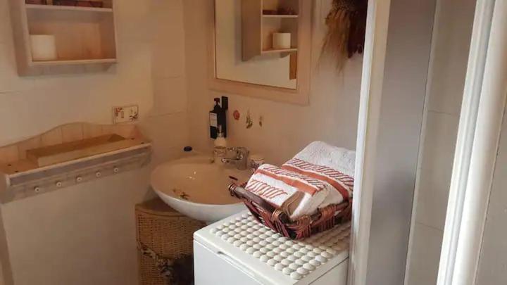 Ferienwohnung "Fresia" Chalet Turistico A Fisto Spiazzo  Exterior foto